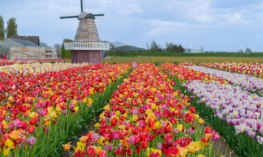 The Best Easter Destinations 2026 – Where Is It Worth Going?